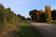 8th Nov 2015 - Country road in Autumn mood