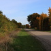 Country road in Autumn mood by pyrrhula