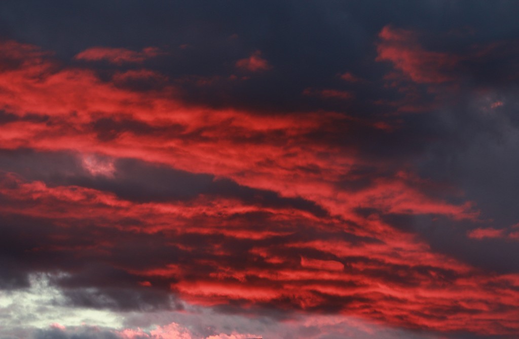 Nov. red sky by adi314