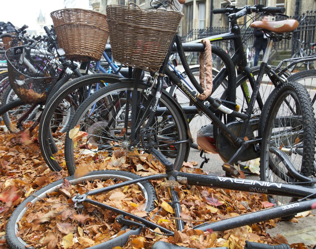 Leaves, bikes and baskets!! by padlock