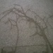 Tree shadows  by cataylor41