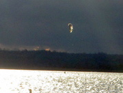 9th Nov 2015 - One lone parasailor - best viewed on black