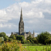 Salisbury Cathedral by barrowlane