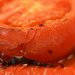 grillled tomato and red pepper by christophercox
