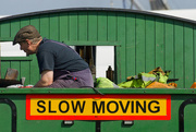 19th Sep 2015 - Slow Moving