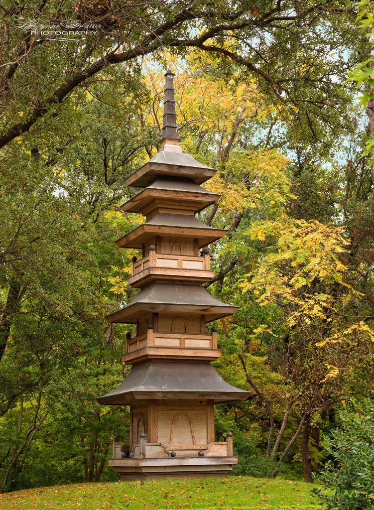 Japanese Gardens by lynne5477