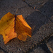 Golden Hour Leaf by sarahsthreads