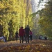 Walking in an Autumn Wonderland by jamibann