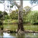 Wittunga Botanic Gardens-2 by cruiser