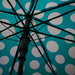 Polka Dots and Spokes by sarahsthreads