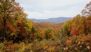 31st Oct 2015 - Fall Colors in Smoky Mountains