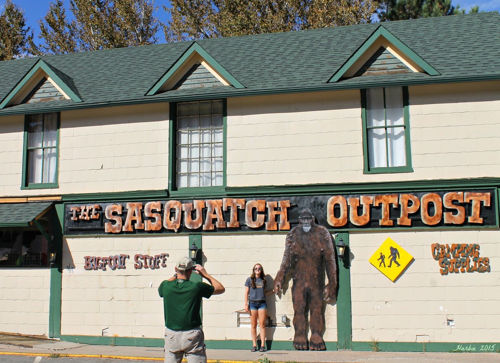 How Large is Sasquatch? by harbie