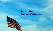 11th Nov 2015 - Veterans Day