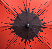 11th Nov 2015 - 309 - Poppy Umbrella