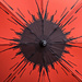 309 - Poppy Umbrella by bob65