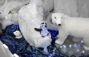 11th Nov 2015 - Penguin and Polar Bears