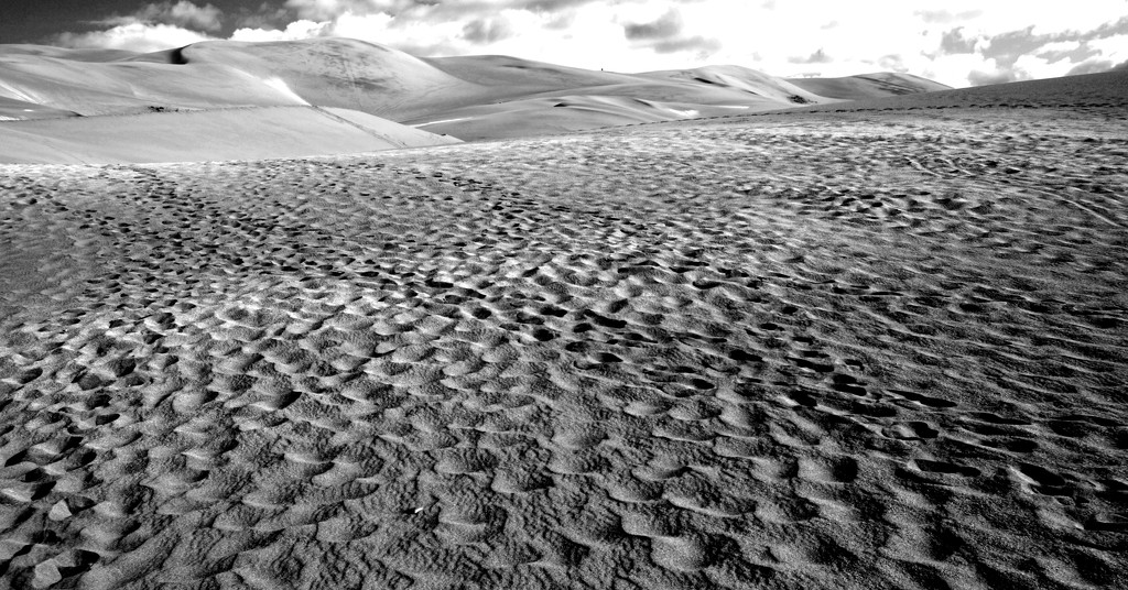 Sand Dunes Monochrome iii by tosee