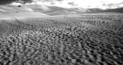 11th Nov 2015 - Sand Dunes Monochrome iii