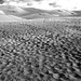 Sand Dunes Monochrome iii by tosee