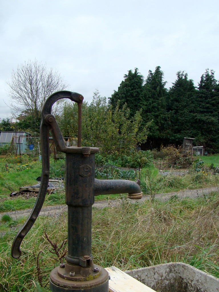 Uxbridge Allotments Water Pump 2 by bulldog