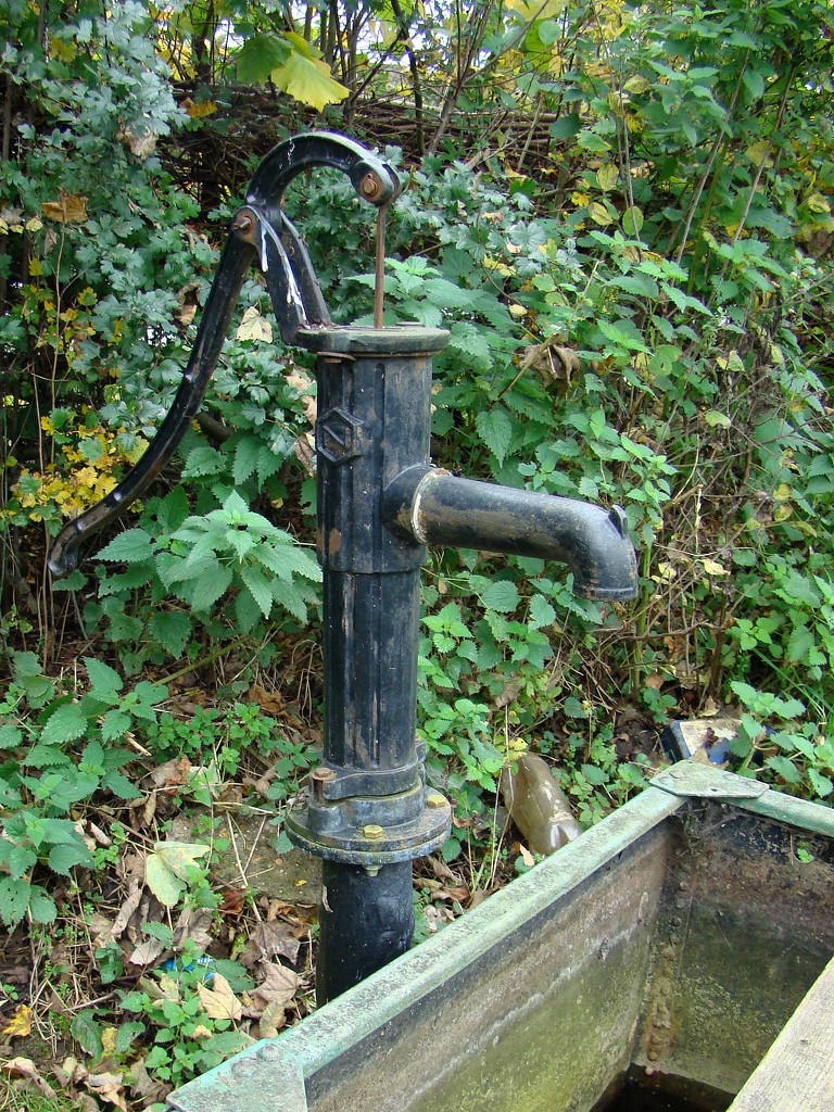 Uxbridge Allotments Water Pump 1 by bulldog