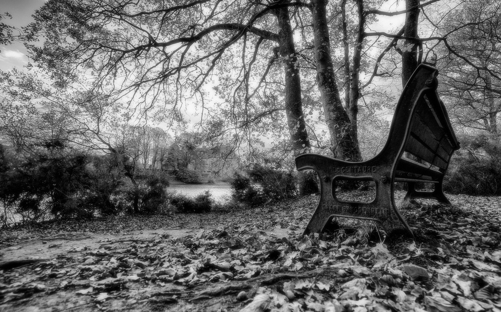 ONS 10 - Day 3: B&W - Sit here and dream... by vignouse