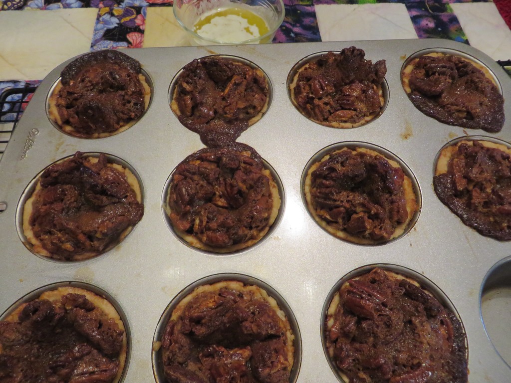 Tiny pecan pies by margonaut