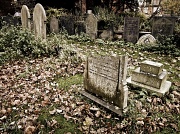 22nd Nov 2010 - Ruddington graveyard