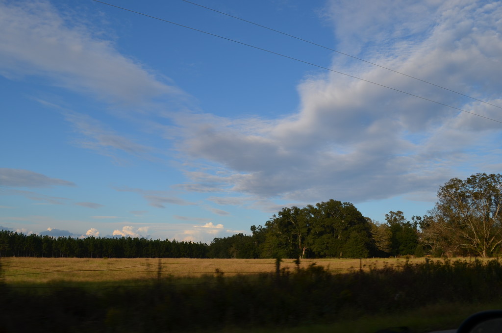 A beautiful Fall afternoon in rural Dorchester County, South Carolina by congaree