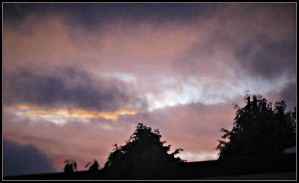 Early morning sky  by beryl