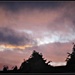 Early morning sky  by beryl