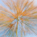 ONS10 - Tree in motion by stiggle