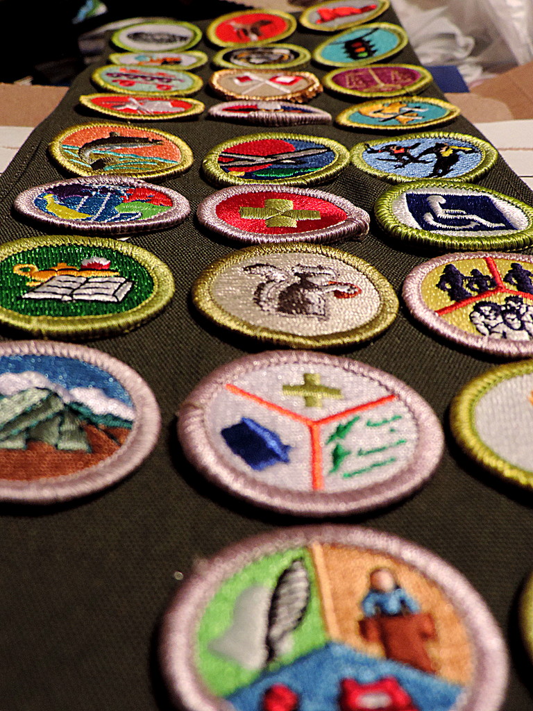 Working toward Eagle Scout! by homeschoolmom