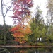 Autumn in the Arboretum by oldjosh