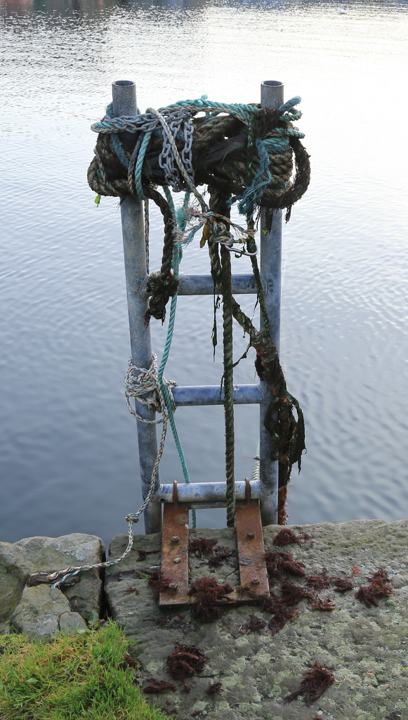 West Dock, Lerwick, Shetland by lifeat60degrees