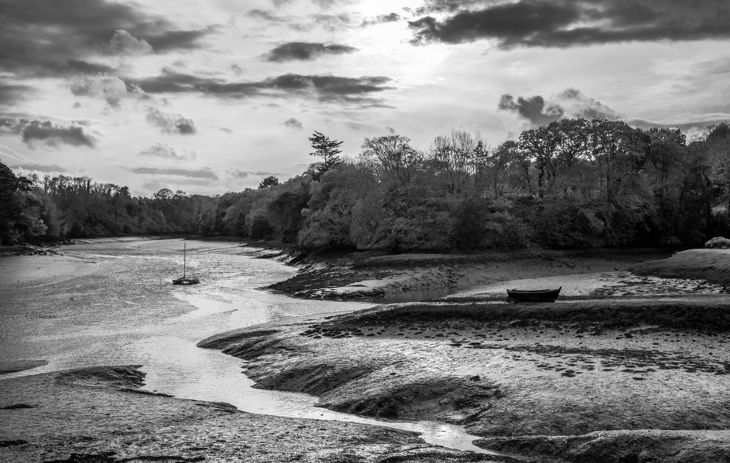 A Year of Days - Day 316:  River Guindy at Tréguier by vignouse