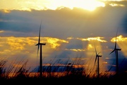 10th Nov 2015 - Sun Shining On An Iowa Wind Farm