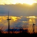 Sun Shining On An Iowa Wind Farm by lynnz