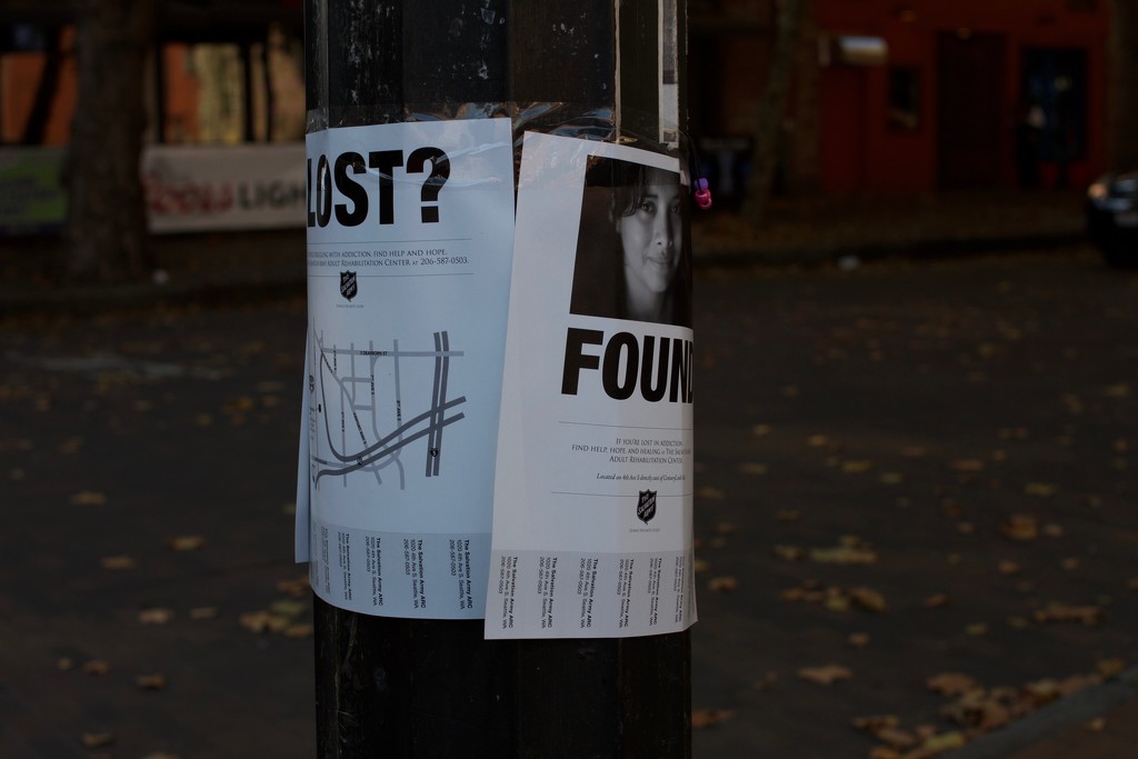 Lost and  Found all on one pole... by seattle
