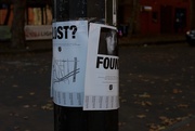 11th Nov 2015 - Lost and  Found all on one pole...