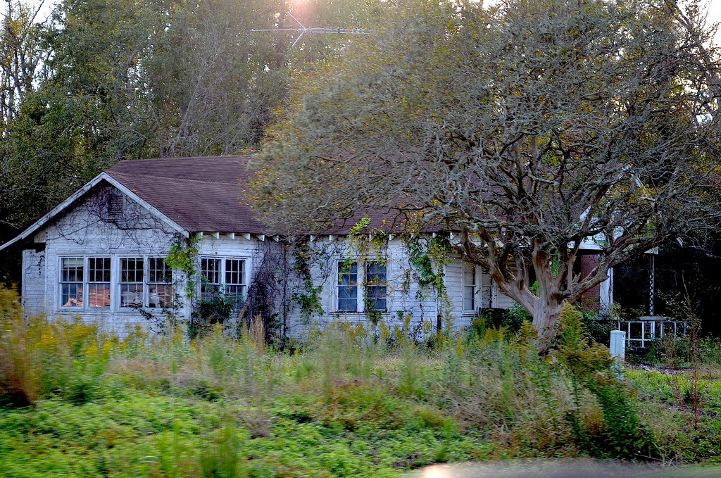Abandoned house (side view), Dorchester County, South Carolina by congaree