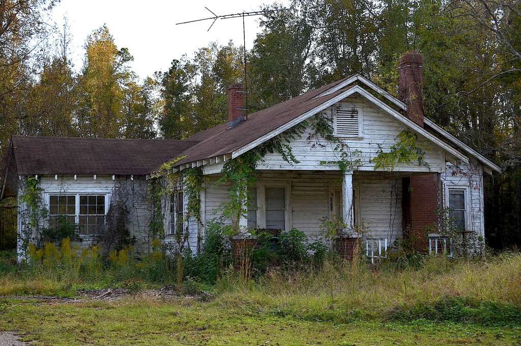 Abandoned house (front view), Dorchester County, South Carolina by congaree