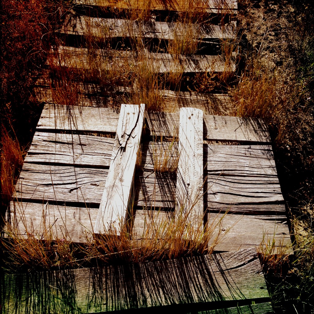 Wooden walkway by jeffjones