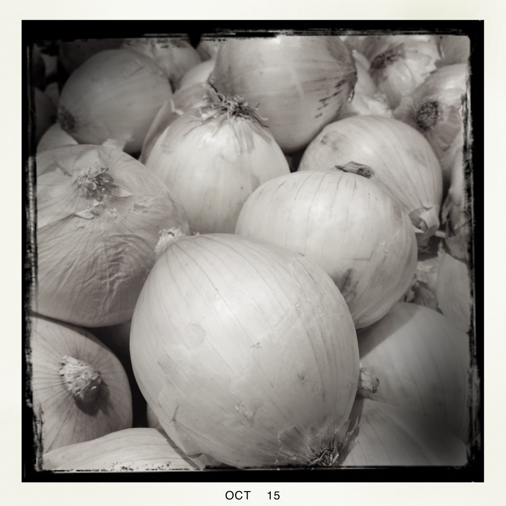 Onions by jeffjones
