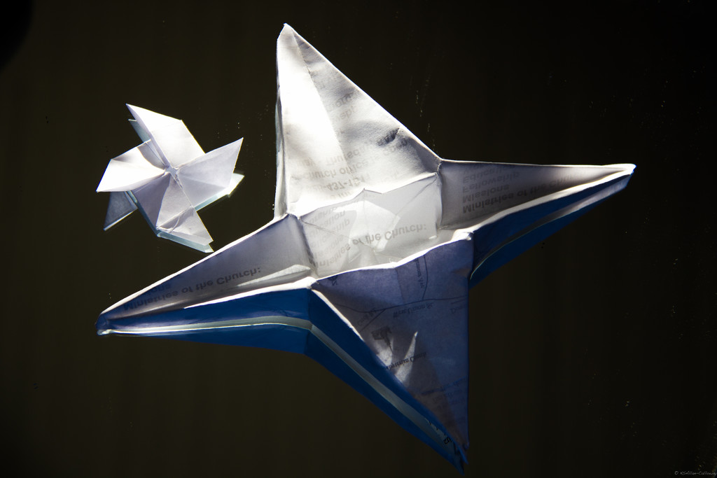 Origami by randystreat