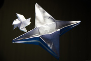 13th Nov 2015 - Origami