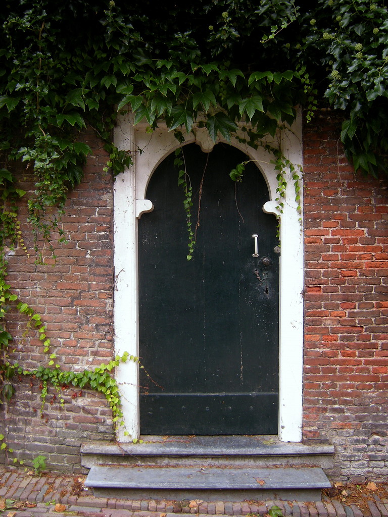 A door to    (3)  by pyrrhula