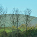 The hills at Church Stretton....  by snowy