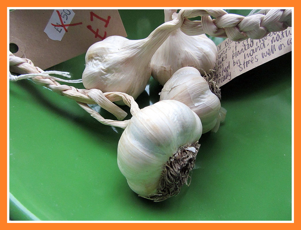 Garlic bulbs. by grace55