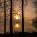 Foggy Sunrise    by radiogirl